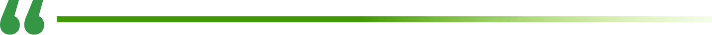 quote_decorative_line